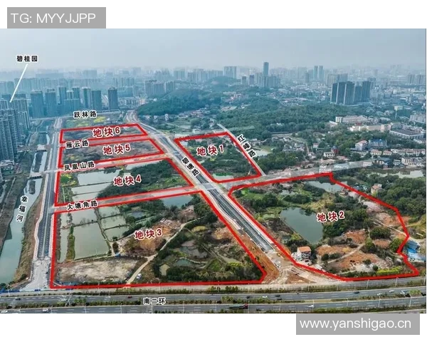 上海羽毛球队包夹战术解析与未来发展趋势探讨