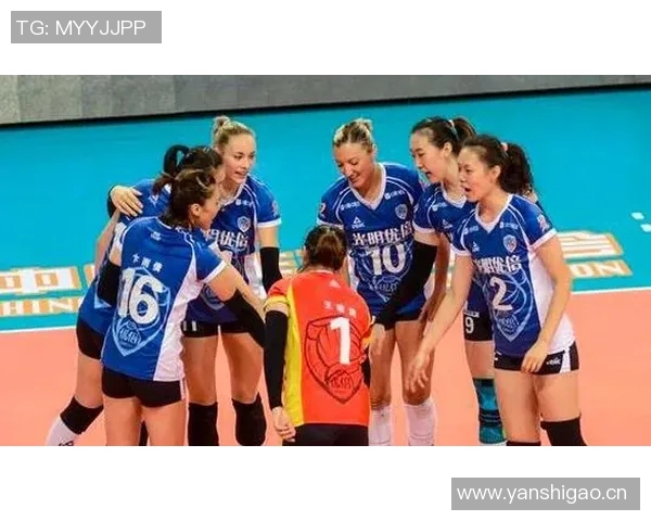 上海排球队实力之争引发热议球迷观点各异分析背后的原因与影响